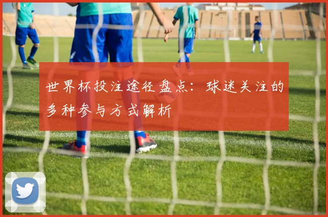 世界杯投注途径盘点：球迷关注的多种参与方式解析