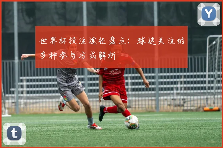 世界杯投注途径盘点：球迷关注的多种参与方式解析