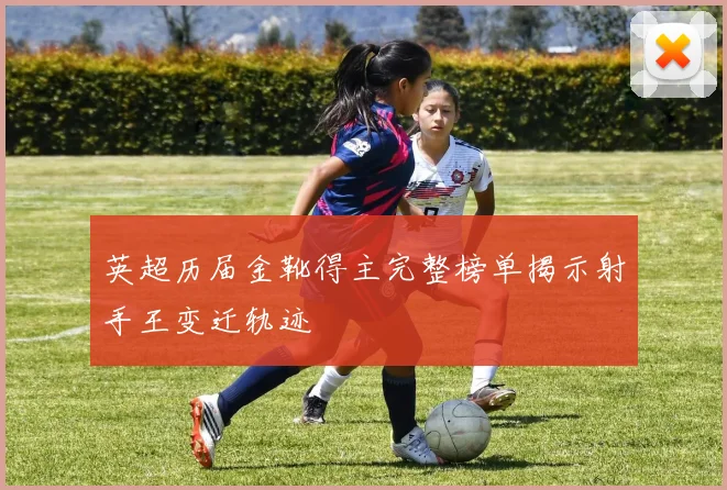 英超历届金靴得主完整榜单揭示射手王变迁轨迹
