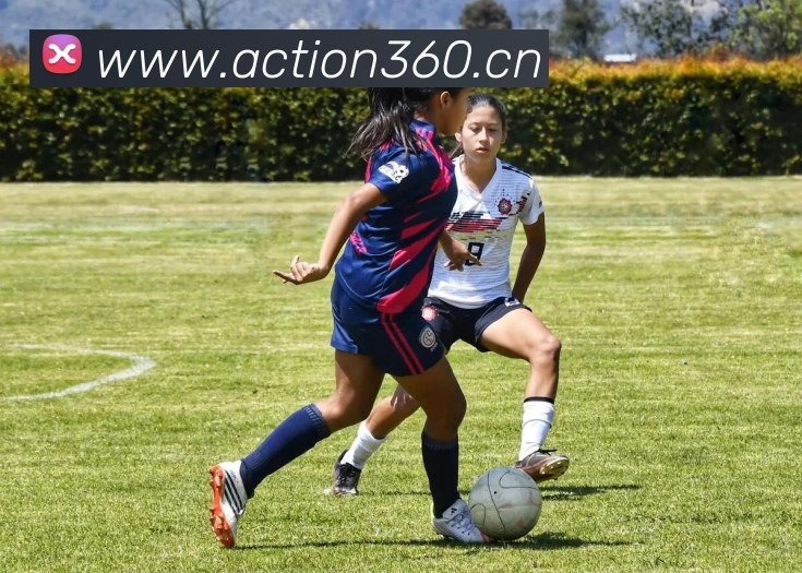 leyu乐鱼在线体育服务体系